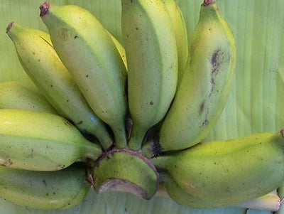 Banana Chakkrakeli - Fruit Plants